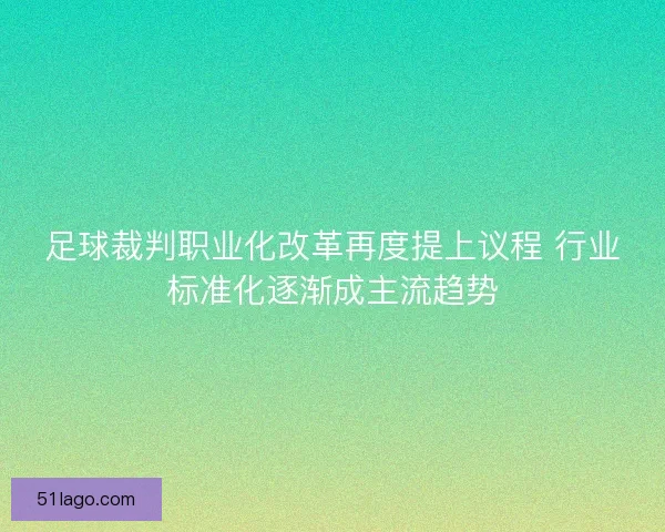 足球裁判职业化改革再度提上议程 行业标准化逐渐成主流趋势