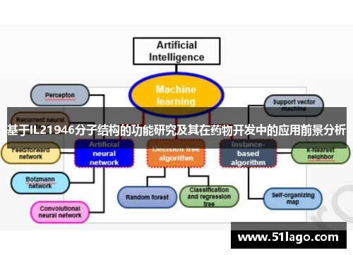 基于IL21946分子结构的功能研究及其在药物开发中的应用前景分析